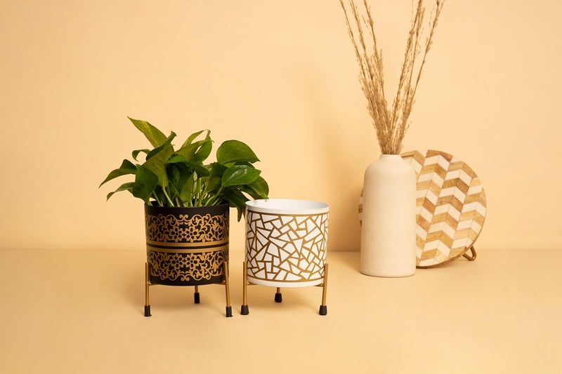 Planters Renewal